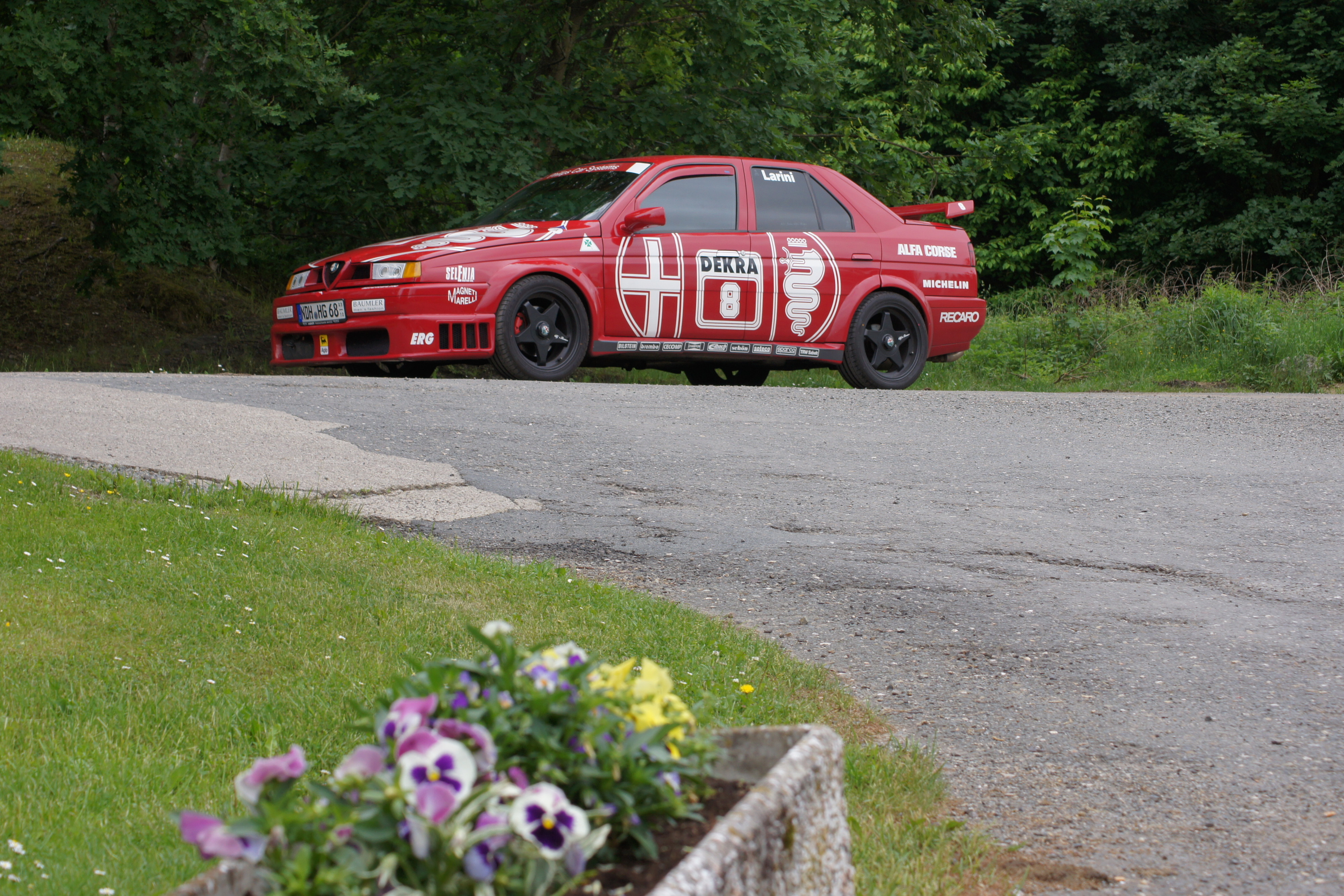 ARP Treffen am Birnbaumteich 2018